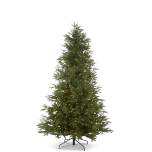 RAZ FrasIer Fir Tree | 7.5Ft