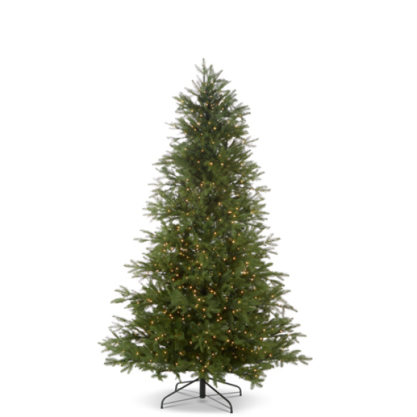RAZ FrasIer Fir Tree | 7.5Ft