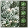 7.5ft pre lit national tree acacia pencil slim flocked tree