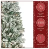 7.5ft pre lit national tree acacia pencil slim flocked tree