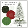 7.5ft pre lit national tree acacia pencil slim flocked tree