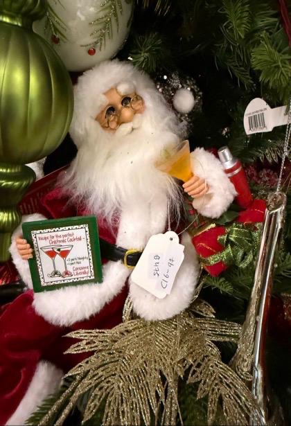 Karen Didion Martini Santa
