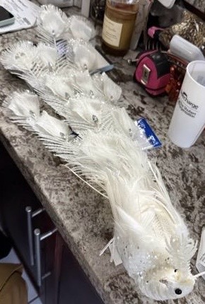 28" White Peacock