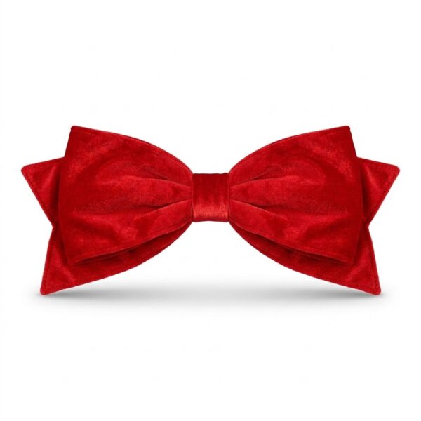 IMG_9961 REGENCY RED BOW | UV OUTDOOR VELVET | 24"