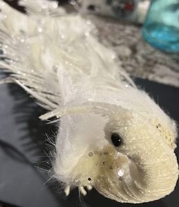 WHITE PEACOCK White Peacock