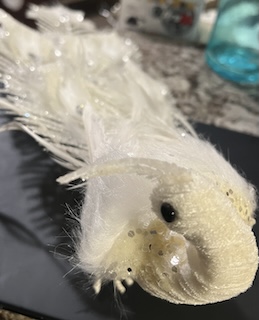 White Peacock