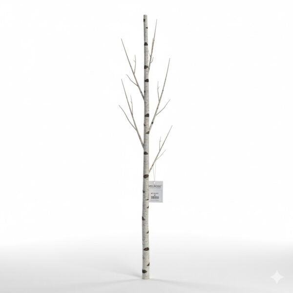 Birch Branch
