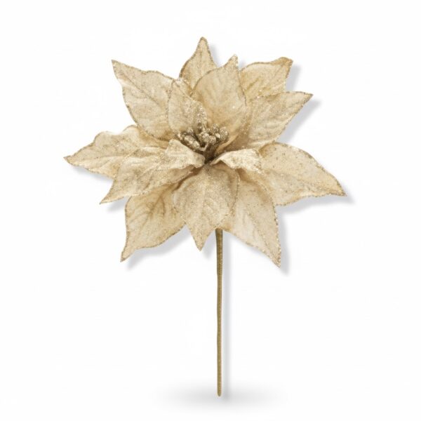 Poinsettia Stem