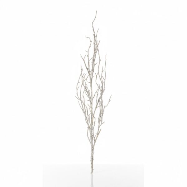 Melrose Birch Twig Branch