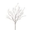 RAZ Iced Branch