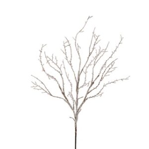 RAZ Iced Branch