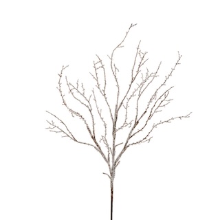 RAZ Iced Branch