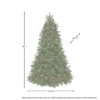 9ft regency belgium tree