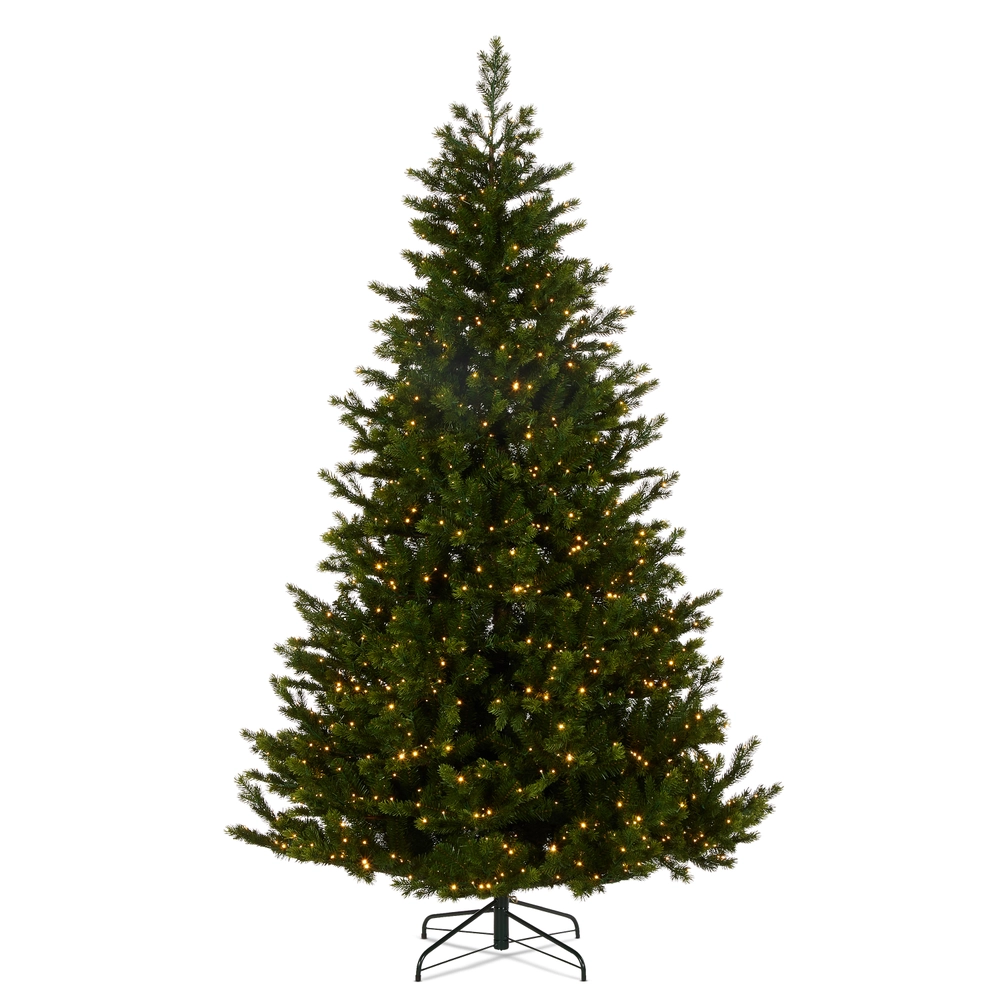 Shop our exclusive green and frosted Christmas trees from premium brand names RAZ, National Tree Company and A&B Home only at Home & Heart—the premier online Christmas store in Trinidad.